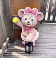◆メイちゃん◆の画像
