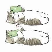 むこたま