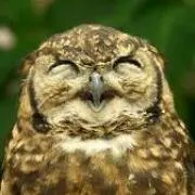 くーちゃんの画像