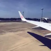 花の画像