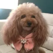 marimariの画像
