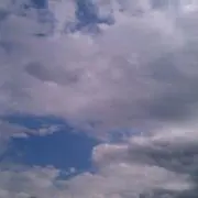 yukI  winD