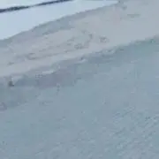 伊藤