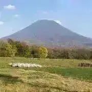 なまこママ✨の画像