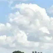 wの画像