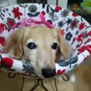 タク　※プロフィール一読お願いします。の画像