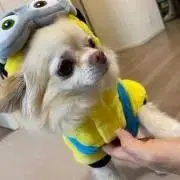 zuuko.kの画像