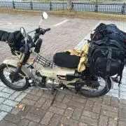 ここそうの画像
