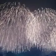 ぽこの画像