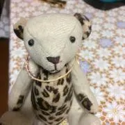 ピロコの画像