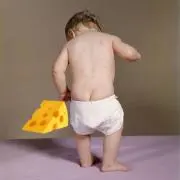 Cheeseの画像