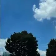 Cookie プロフ一読お願いしますの画像