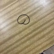 トカゲの画像