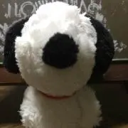 さー♫