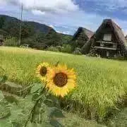 haREの画像