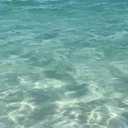 たまごの画像