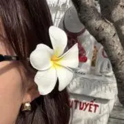 meiの画像