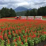 EVの画像