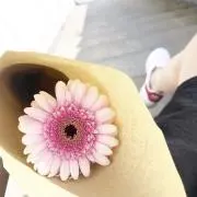 kpspの画像