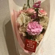 のんの画像