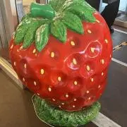 まいの画像