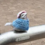 うなな＊グッズ断捨離
