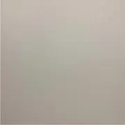 ぶーにゃんの画像