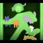 エイの画像