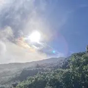 39の画像