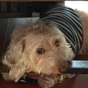 おってぃ