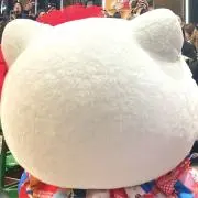 ゆうり⭐︎正規品⭐︎の画像