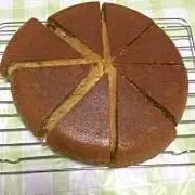 隼の画像