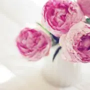 R *喫煙者•ペットなし*の画像