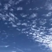 FSHの画像