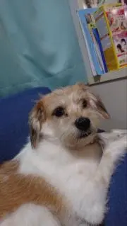 あき。