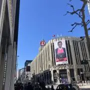 さくの画像