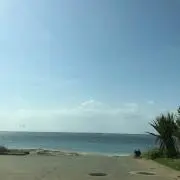 sakusakuの画像