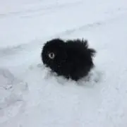 STORIの画像