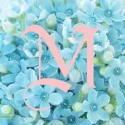 ムックスSHOP✳24時間内発送の画像