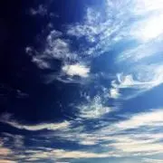 わやじゃの画像