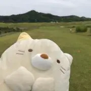 よもぎの画像
