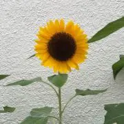 1234567890の画像