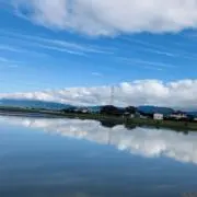 hiの画像