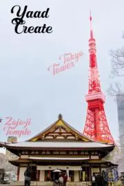 sagaの画像