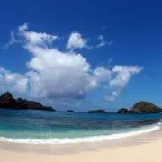 watの画像