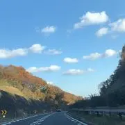 yxxxcomの画像