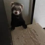 ♪aya♪【プロフ要確認】