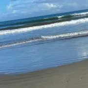 あるれっと