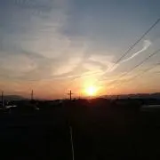 きつねうどん