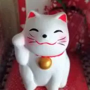 yuuの画像